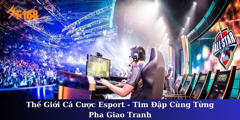 Thế Giới Cá Cược Esport - Top Nhà Cái Được Yêu Thích Nhất 2025 1 Thế Giới Cá Cược Esport - Top Nhà Cái Được Yêu Thích Nhất 2025